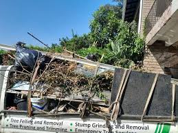 Best Foreclosure Cleanout  in Bellaire, TX